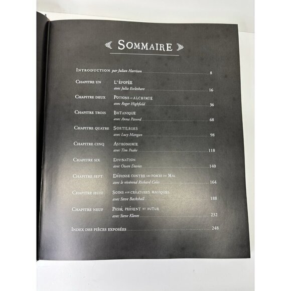 Harry Potter Un Monde De Magie Book British Library FRENCH EDITION 2018 265p. - Picture 7 of 16